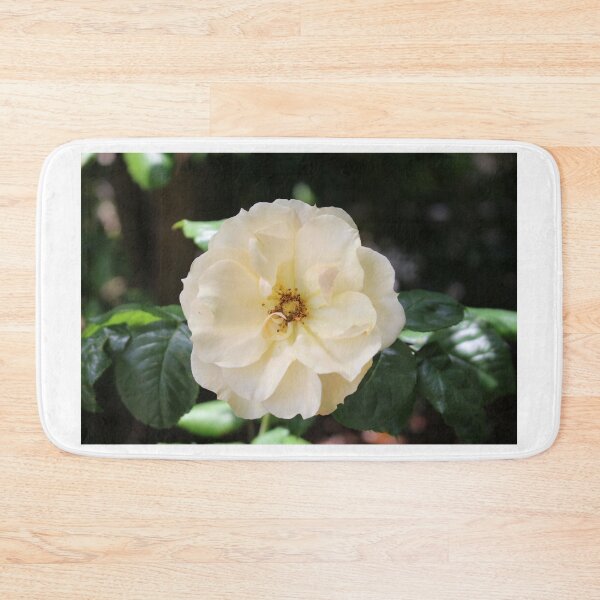 Item preview, Single White Rose designed and sold by Cynthia48.