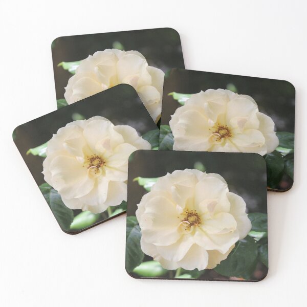 Item preview, Single White Rose designed and sold by Cynthia48.