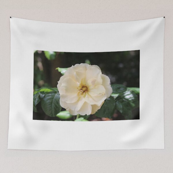 Item preview, Single White Rose designed and sold by Cynthia48.