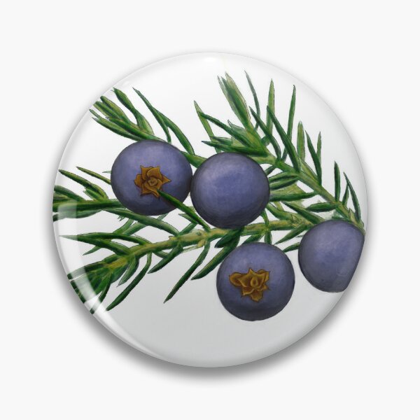 Item preview, Juniperus Communis designed and sold by LegbasCrossroad.