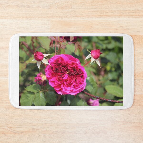 Item preview, Blossomed Pink Rose designed and sold by Cynthia48.