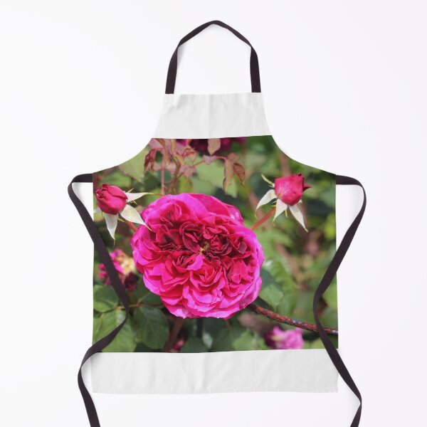 Item preview, Blossomed Pink Rose designed and sold by Cynthia48.