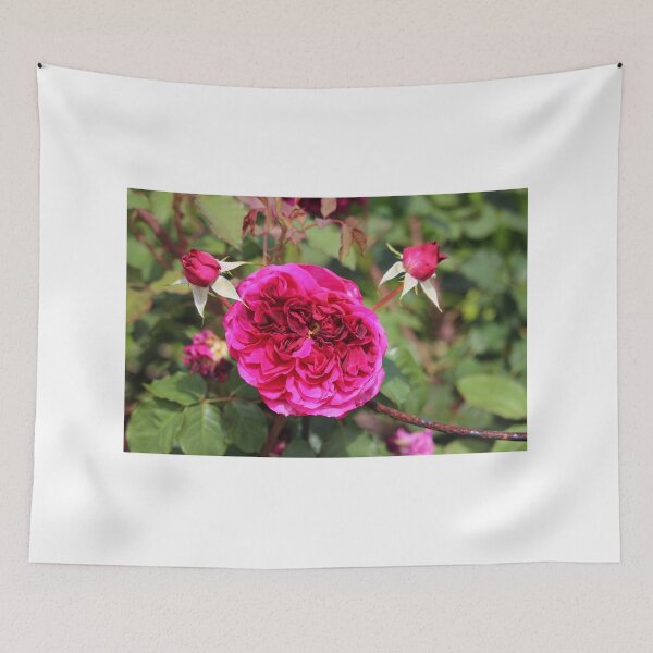 Item preview, Blossomed Pink Rose designed and sold by Cynthia48.