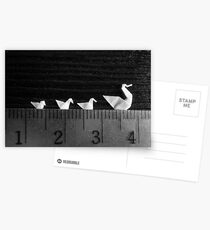 3cm Family Swim Postcards