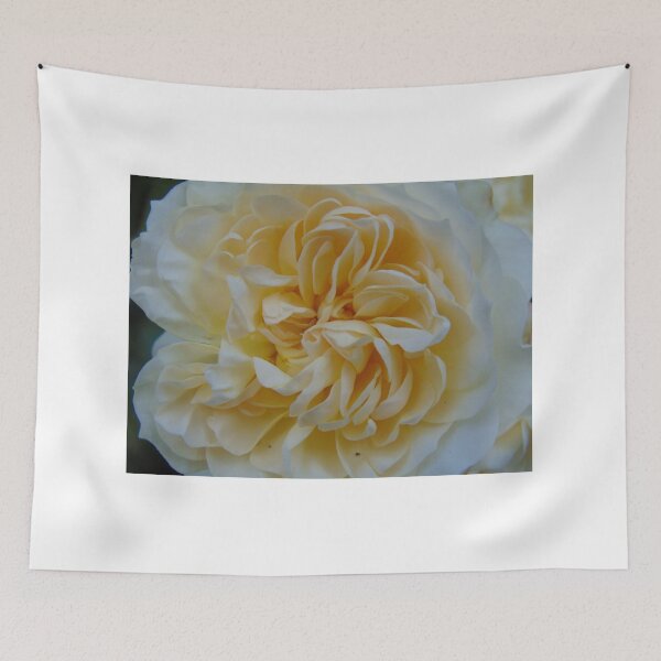 Item preview, Creamy rose designed and sold by lusiakotowska.