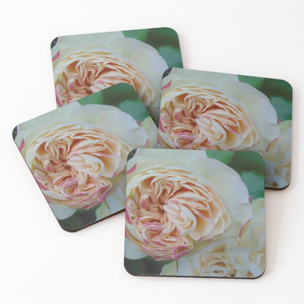 Item preview, Beautiful rose designed and sold by lusiakotowska.