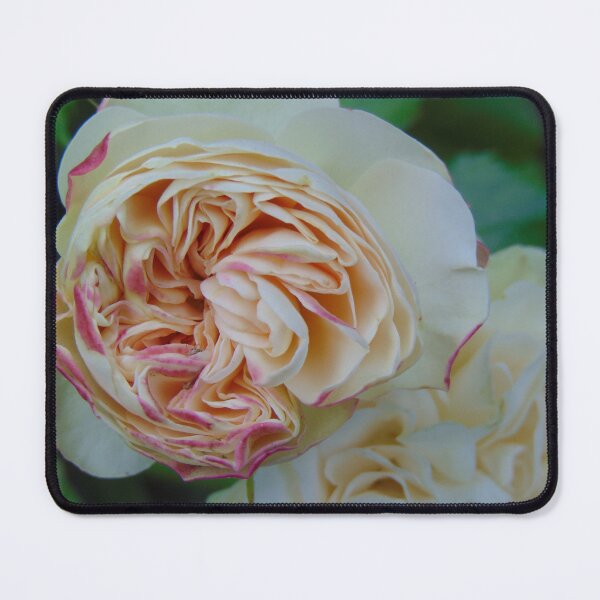 Item preview, Beautiful rose designed and sold by lusiakotowska.