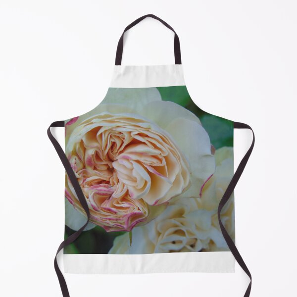 Item preview, Beautiful rose designed and sold by lusiakotowska.