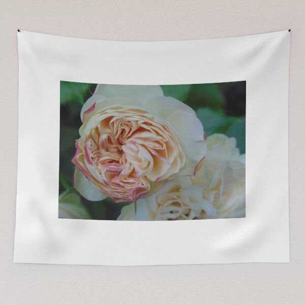 Item preview, Beautiful rose designed and sold by lusiakotowska.