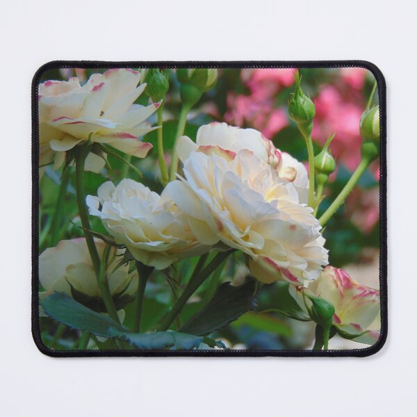 Item preview, Beautiful roses designed and sold by lusiakotowska.