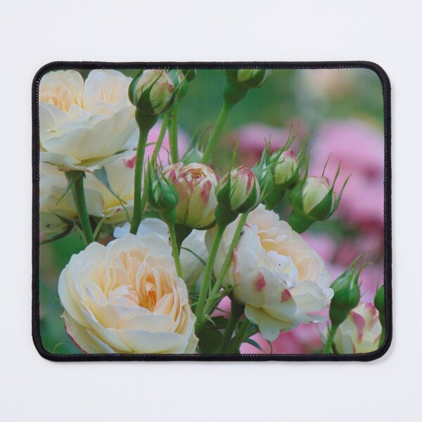 Item preview, Blooming roses designed and sold by lusiakotowska.