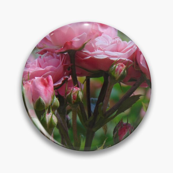 Item preview, Beautiful roses designed and sold by lusiakotowska.