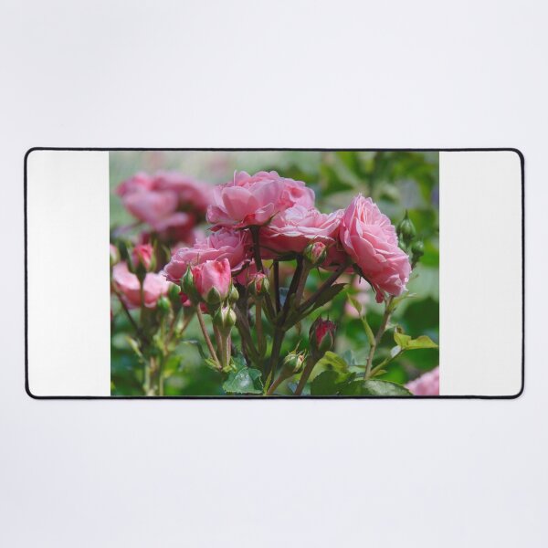 Item preview, Beautiful roses designed and sold by lusiakotowska.
