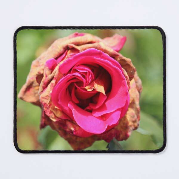 Item preview, Rose Says Still Alive designed and sold by Cynthia48.