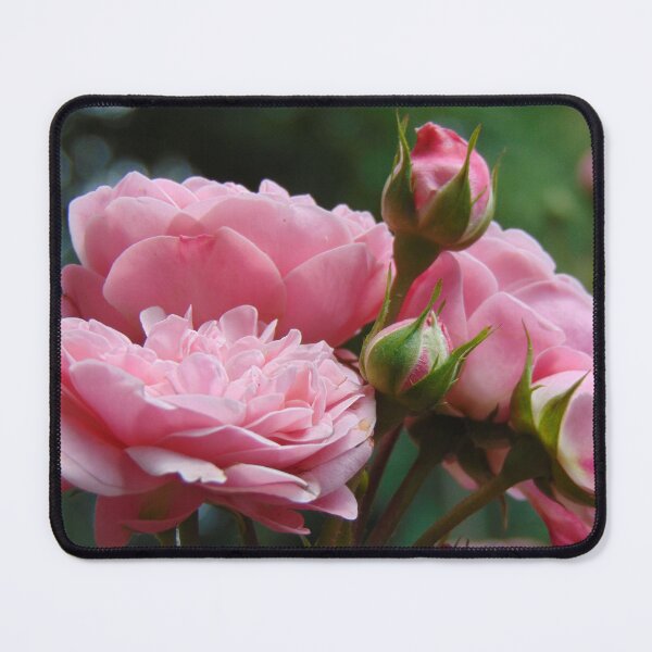 Item preview, Beautiful roses designed and sold by lusiakotowska.
