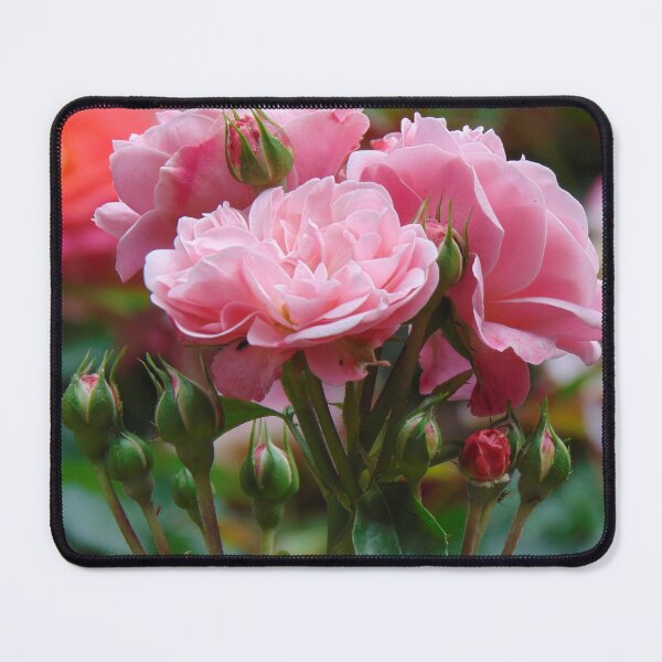 Item preview, Beautiful roses designed and sold by lusiakotowska.