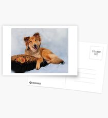 Chilling out Postcards