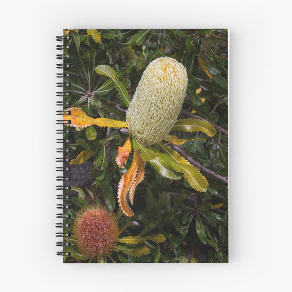 Item preview, ~ Banksia ~  designed and sold by Leeo.