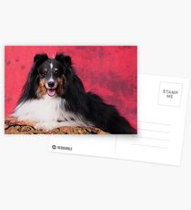 Bright eye and bushy tailed Postcards