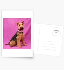 Airdale happy Postcards