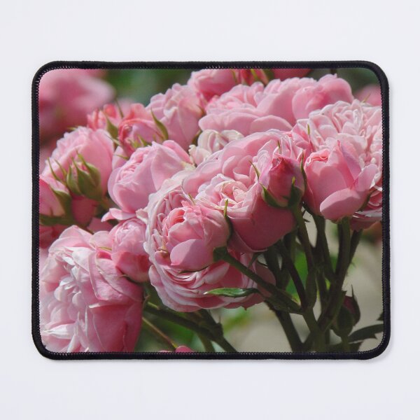 Item preview, Beautiful roses designed and sold by lusiakotowska.