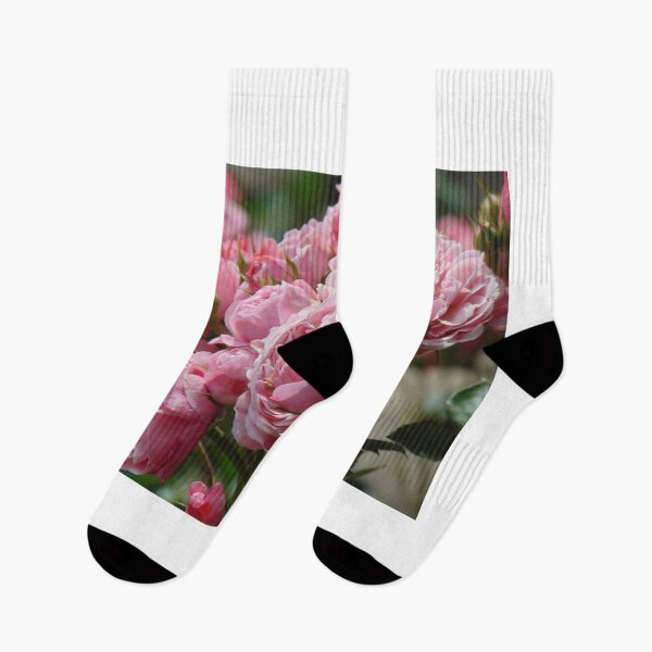 Item preview, Beautiful roses designed and sold by lusiakotowska.