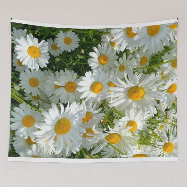 Item preview, Oxeye Daisies in Sunshine designed and sold by Violaman.