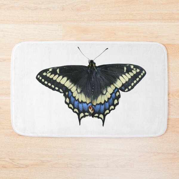 Item preview, Short tailed swallowtail: Papilio brevicauda (real!) designed and sold by Entomologist.