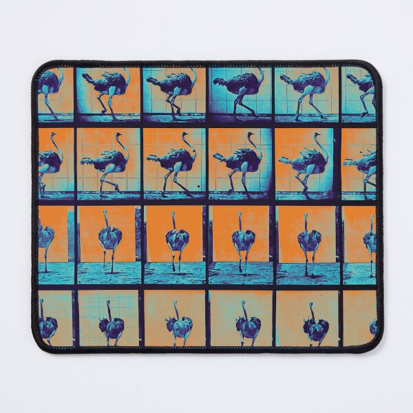 Item preview, Not a Cow: Muybridge's Running Ostrich in Caribbean designed and sold by DreamingBeetle.