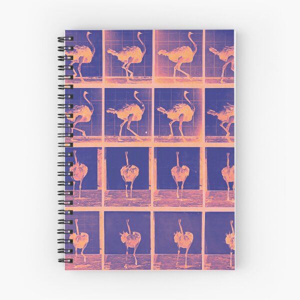 Item preview, Not a Cow: Muybridge's Running Ostrich in Sunset designed and sold by DreamingBeetle.