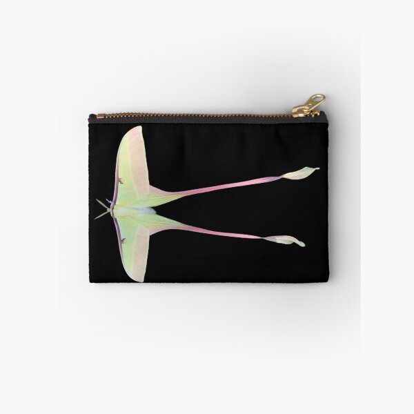 Item preview, Actias dubernardi: Chinese Moon Moth HD  designed and sold by Entomologist.