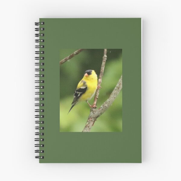 Item preview, Goldfinch designed and sold by Judy Geller.