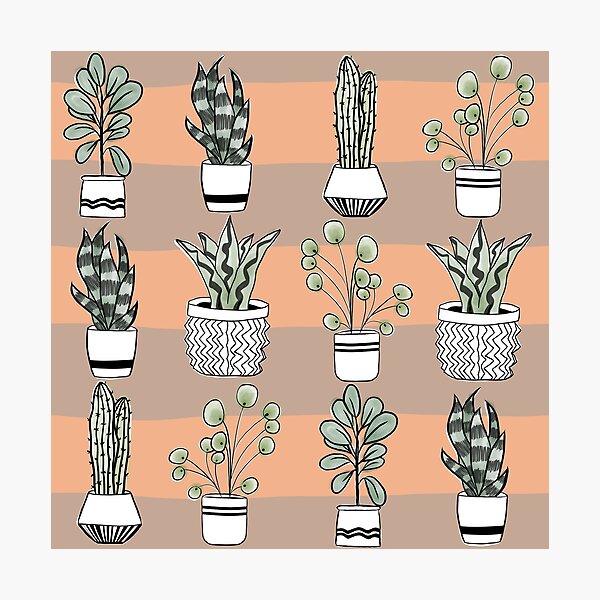 Item preview, Plants designed and sold by Chica Creativa.