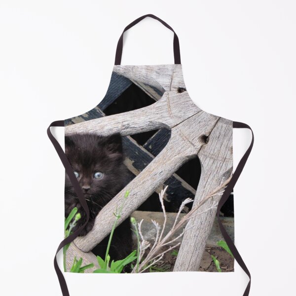 Item preview, Bright-Eyed Kitten in Wagon Wheel designed and sold by OneLeafShaking.