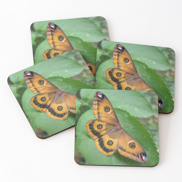 Item preview, Walter's Silkmoth: Calosaturnia walterorum designed and sold by Entomologist.