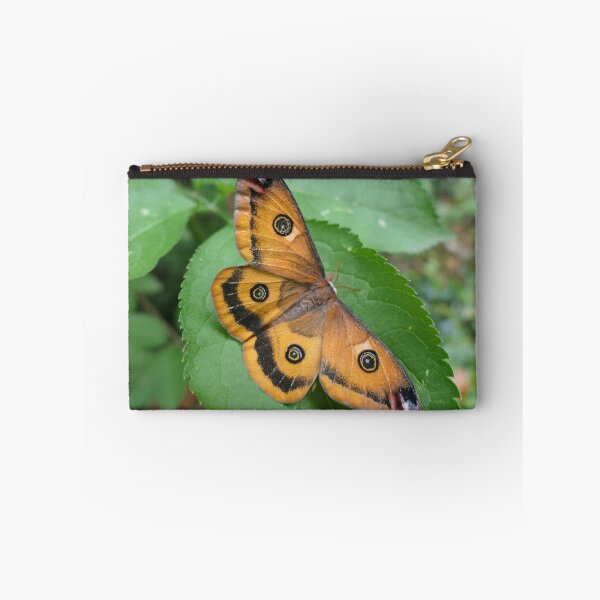 Item preview, Walter's Silkmoth: Calosaturnia walterorum designed and sold by Entomologist.