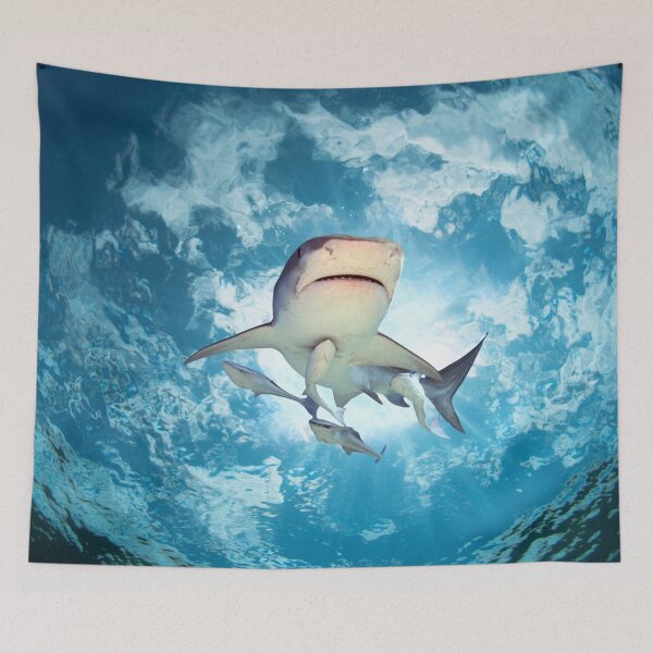 Item preview, View From Below of a Shark designed and sold by WhiteSoftPetals.