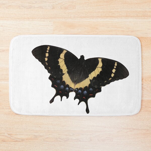 Item preview, Magnificent swallowtail: Papilio garamas (real photo)  designed and sold by Entomologist.