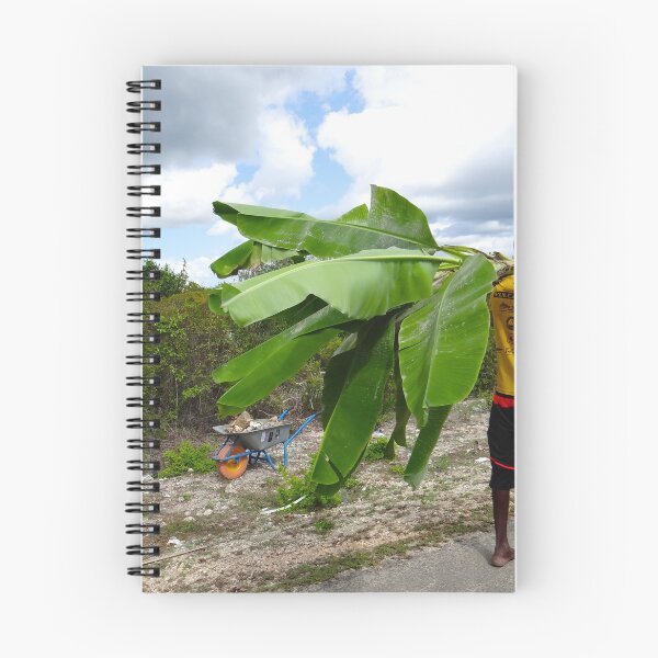 Item preview, Walking Home With Banana Leaves - Zanzibar, Tanzania, Africa designed and sold by exploramum.