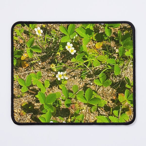 Item preview, Wild Strawberries designed and sold by etherealwonders.