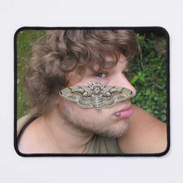 Item preview, Bart & Brahmaea moth: Bart Coppens designed and sold by Entomologist.
