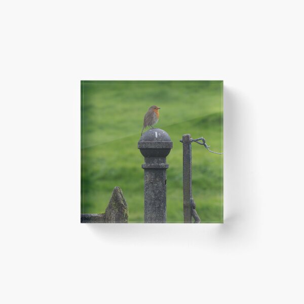 Item preview, Lake District 1 designed and sold by CMGTravelPhotos.
