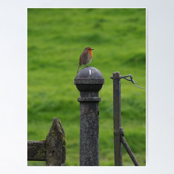 Item preview, Lake District 1 designed and sold by CMGTravelPhotos.