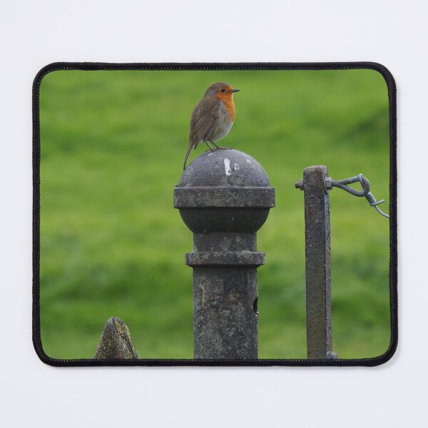 Item preview, Lake District 1 designed and sold by CMGTravelPhotos.