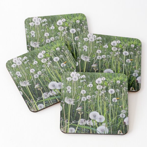 Item preview, Wild flower dandelion white seeds heads designed and sold by naturematters.
