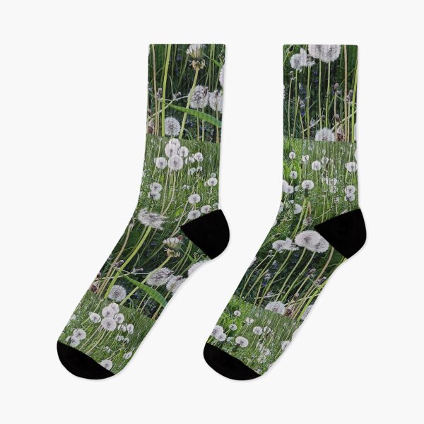 Item preview, Wild flower dandelion white seeds heads designed and sold by naturematters.