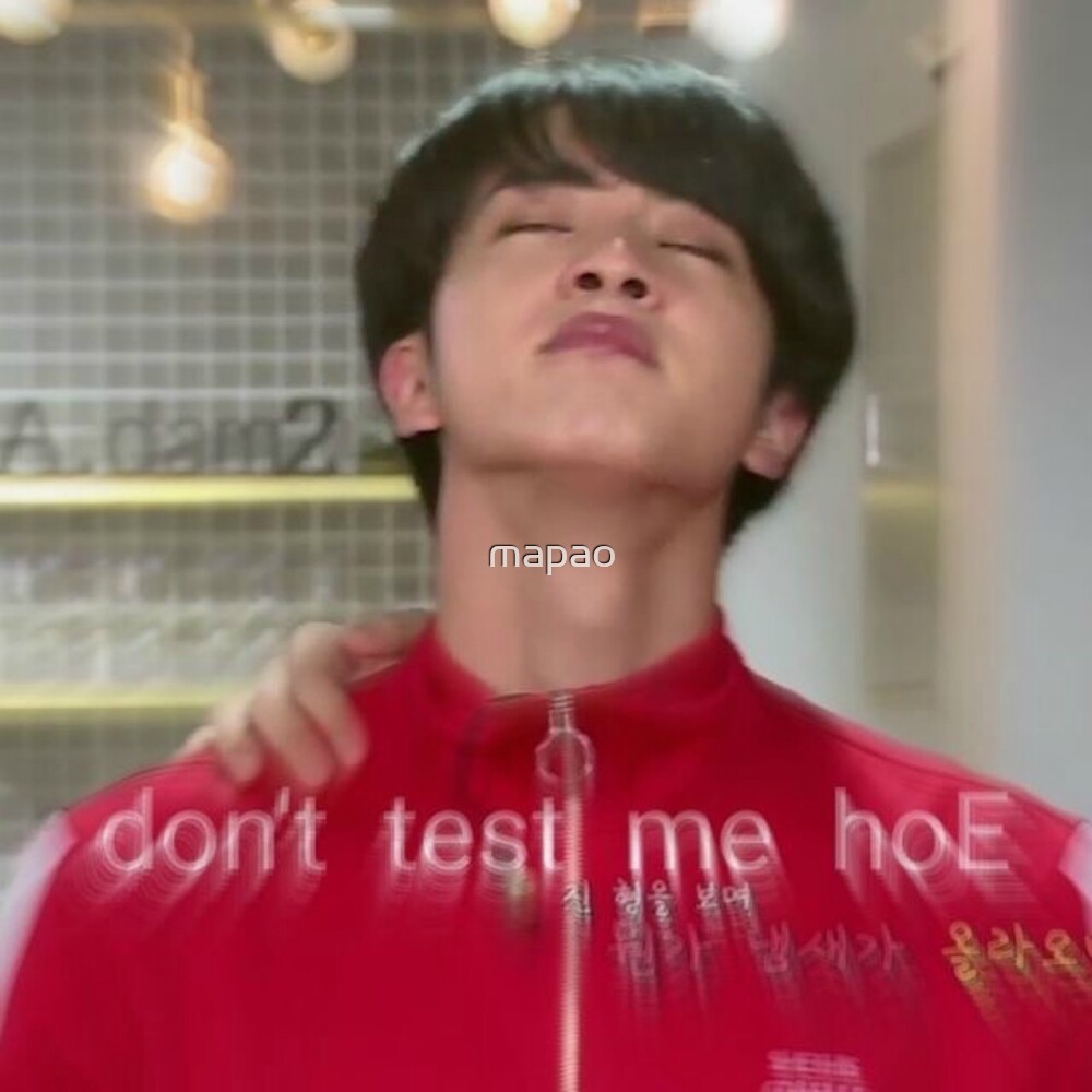 "BTS Jin "don't test me hoe" meme" by mapao | Redbubble