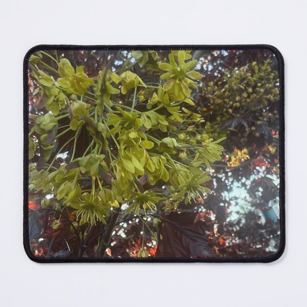 Item preview, Maple Tree Flowers designed and sold by Betsy Phillips.