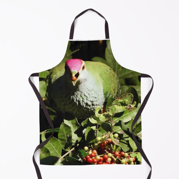 Item preview, Rose-crowned Fruit-Dove eating designed and sold by Mark Grimsley.