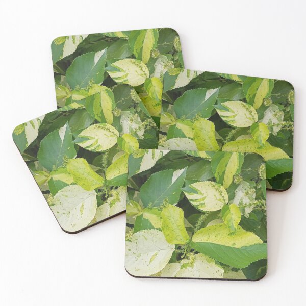 Item preview, green mix plant in the garden  designed and sold by USCOLstore.
